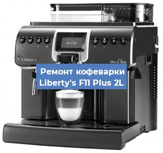 Замена прокладок на кофемашине Liberty's F11 Plus 2L в Самаре